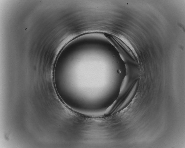 X0000091171197200708161453