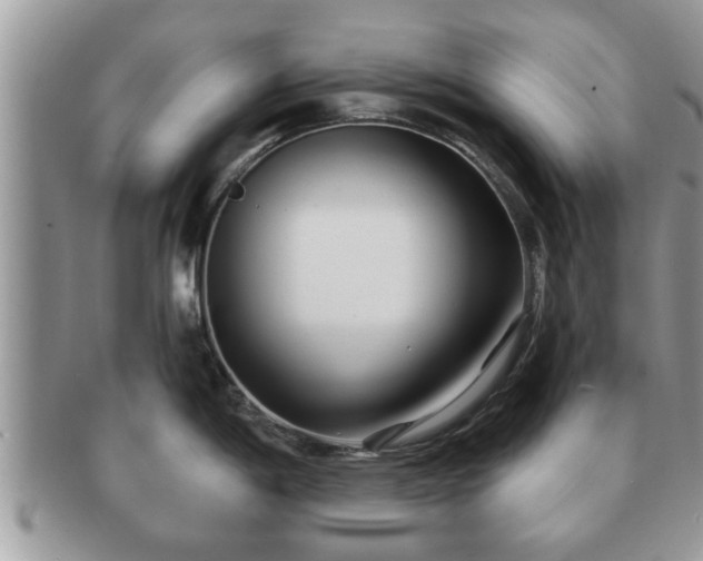 X0000091171198200708161453