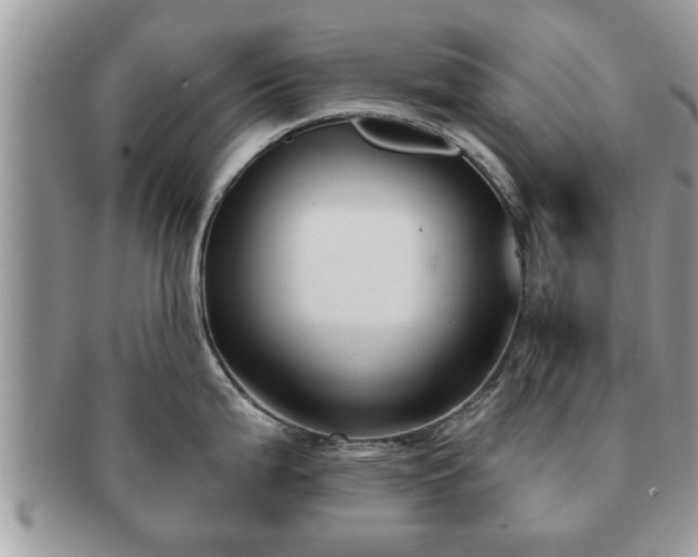 X0000091171199200708161453