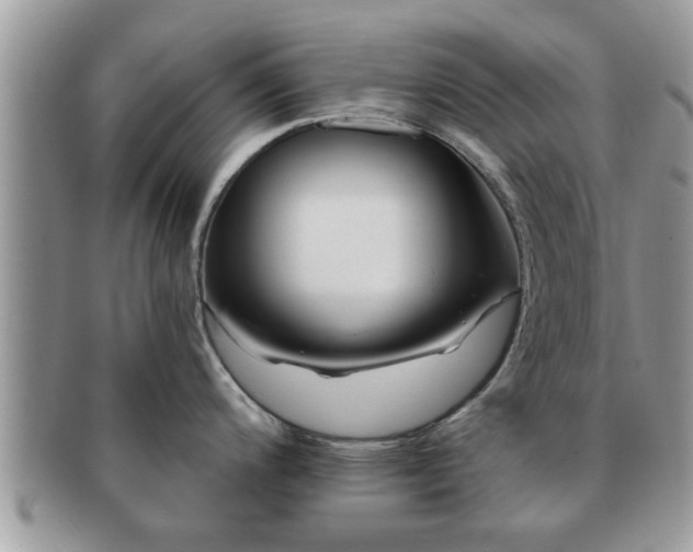 X0000091171200200708161453