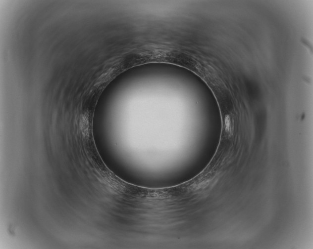 X0000091171203200708161452