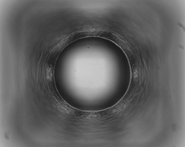 X0000091171204200708161452