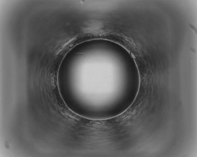 X0000091171205200708161452