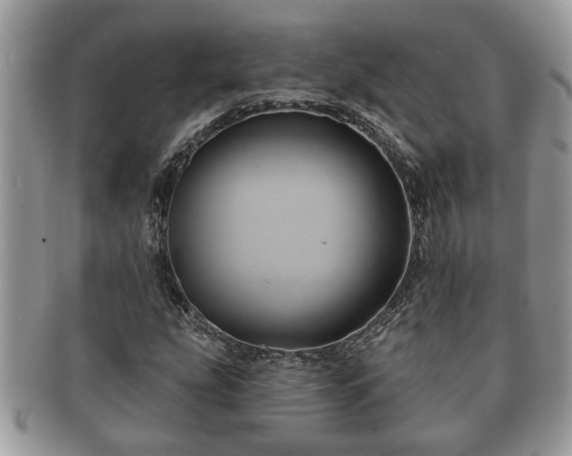 X0000091171207200708161452