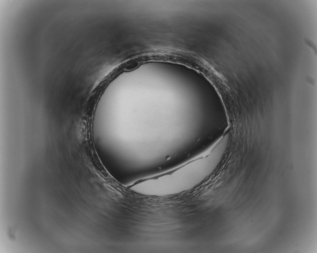 X0000091171208200708161452