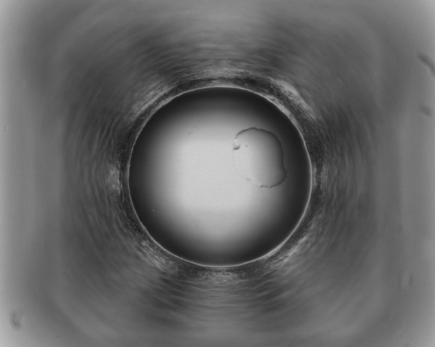 X0000091171209200708161452