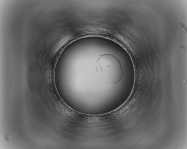 X0000091171211200708161452