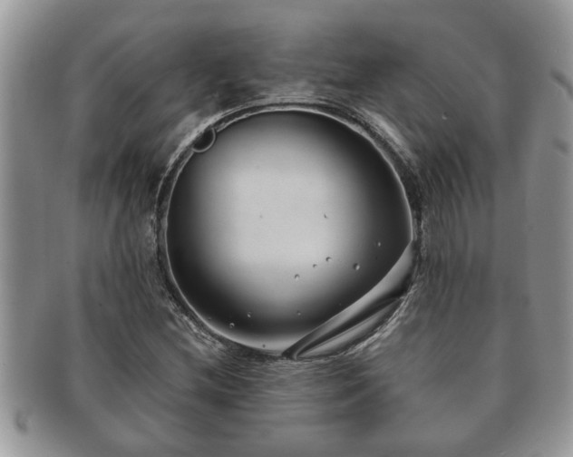 X0000091171212200708161452