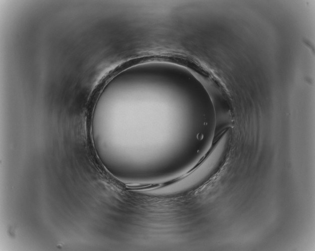 X0000091171214200708161452