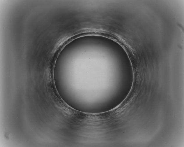 X0000091171215200708161452