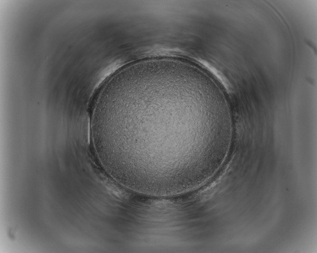 X0000091171219200708161453