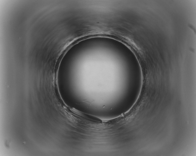 X0000091171220200708161453