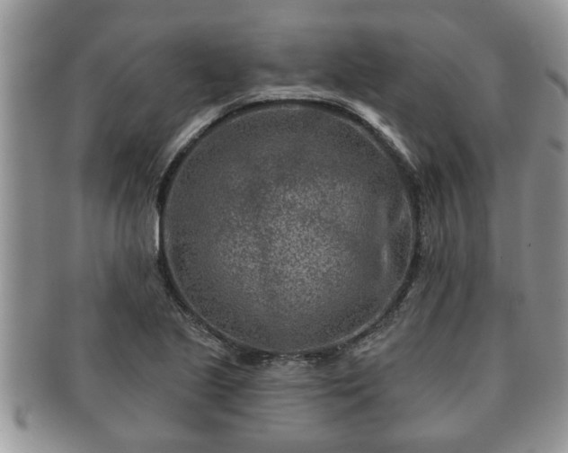 X0000091171221200708161453