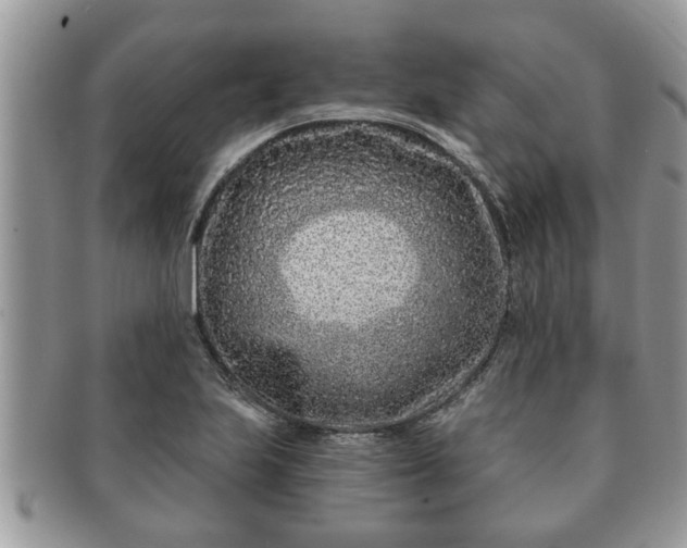 X0000091171223200708161453