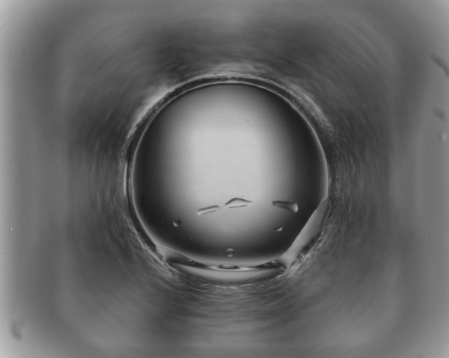 X0000091171224200708161453