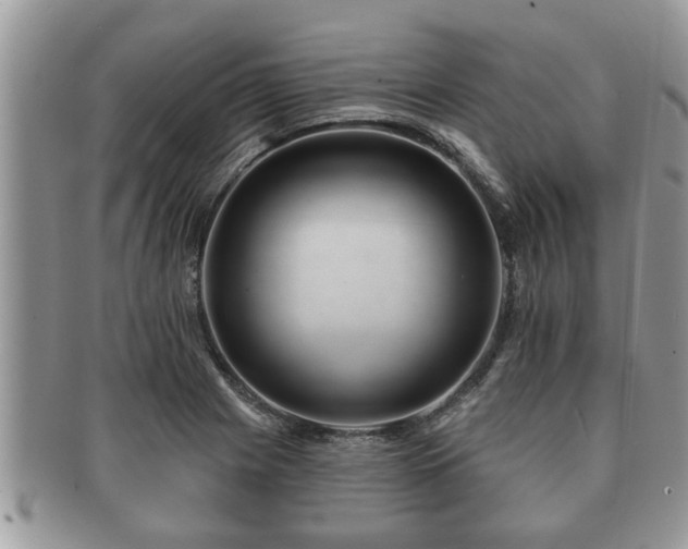 X0000091171225200708161453