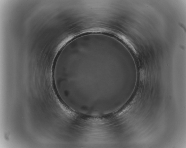 X0000091171229200708161453