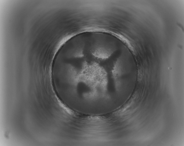 X0000091171231200708161453