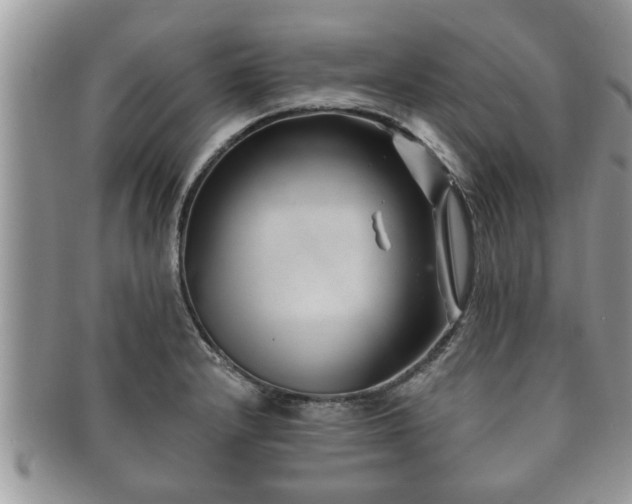 X0000091171232200708161453