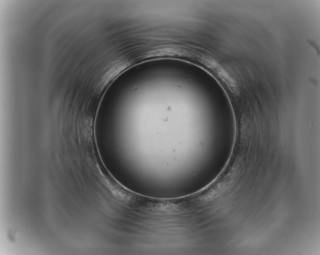 X0000091171233200708161453