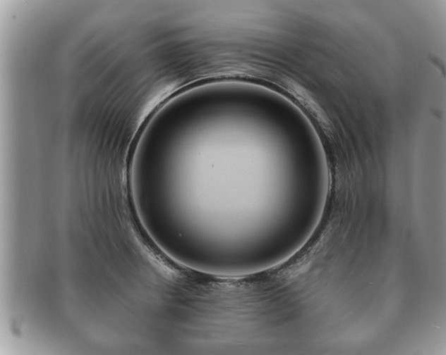 X0000091171234200708161453