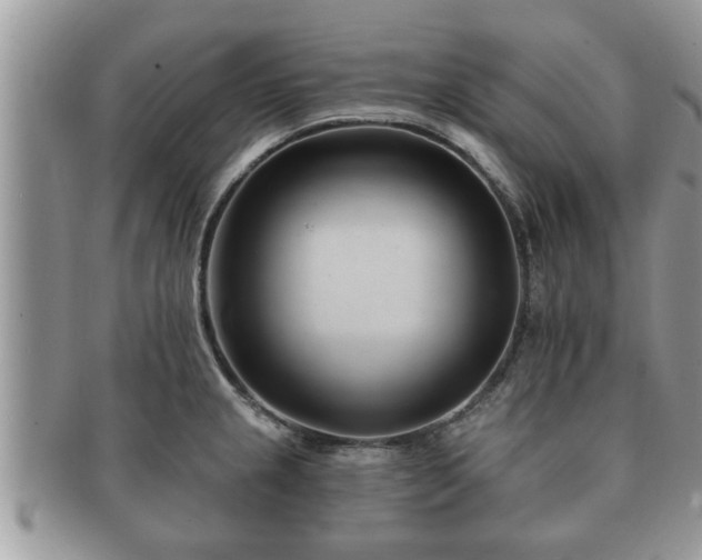 X0000091171237200708161453