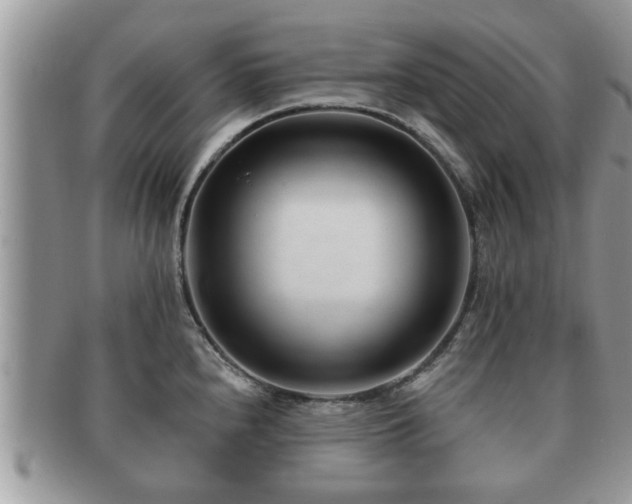 X0000091171240200708161453