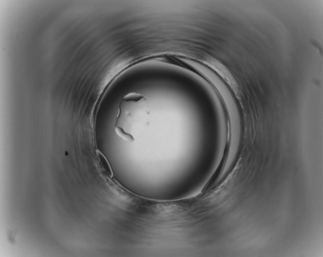 X0000091171242200708161453