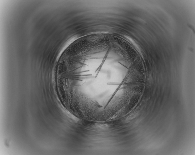 X0000091171243200708161453