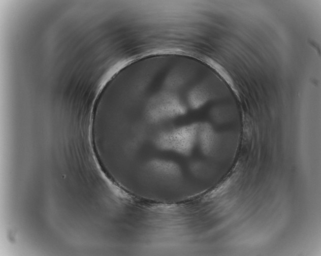 X0000091171245200708161453