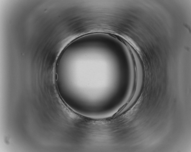 X0000091171246200708161453