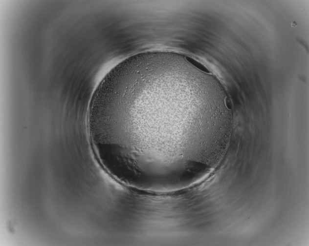 X0000091171247200708161453