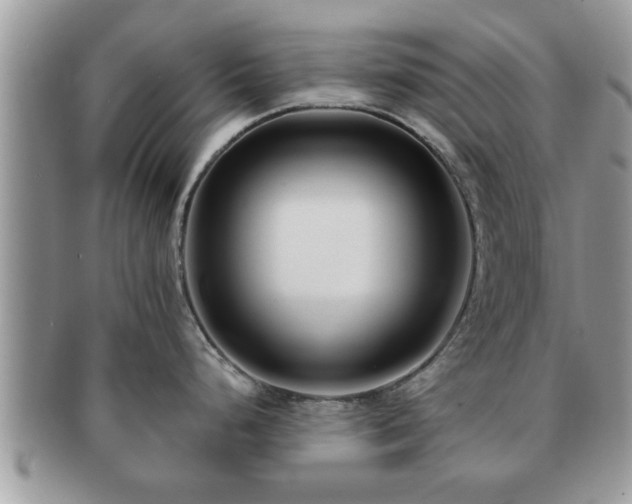 X0000091171248200708161453