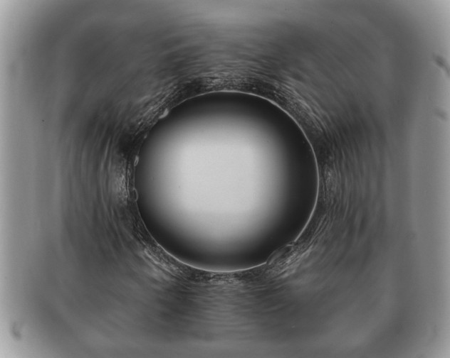 X0000091171250200708161452