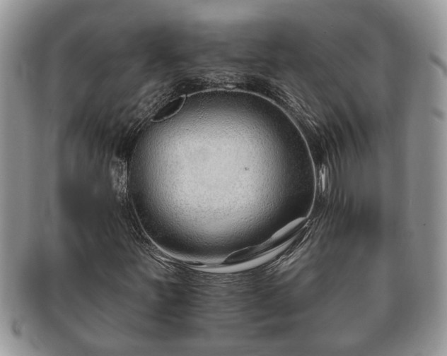 X0000091171251200708161452