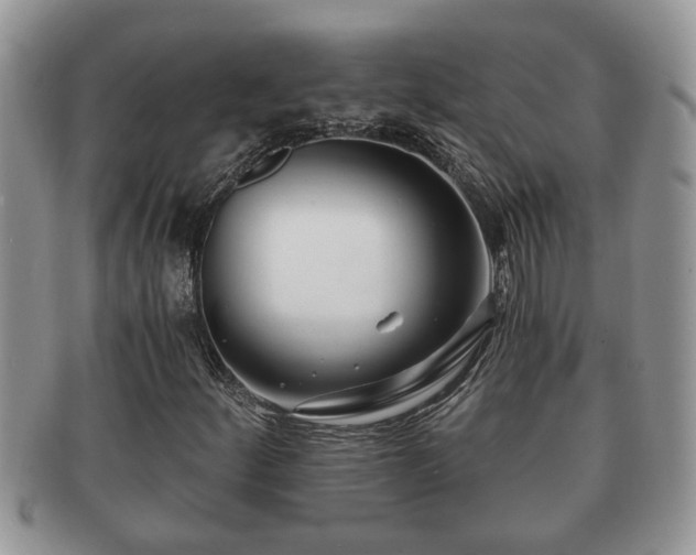 X0000091171252200708161452