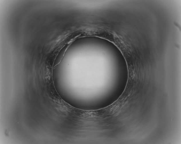 X0000091171253200708161452