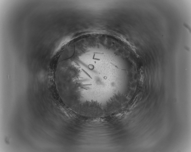 X0000091171255200708161452