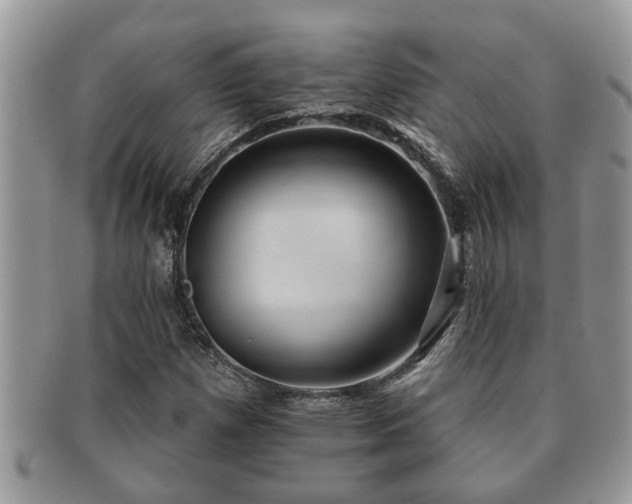 X0000091171257200708161452