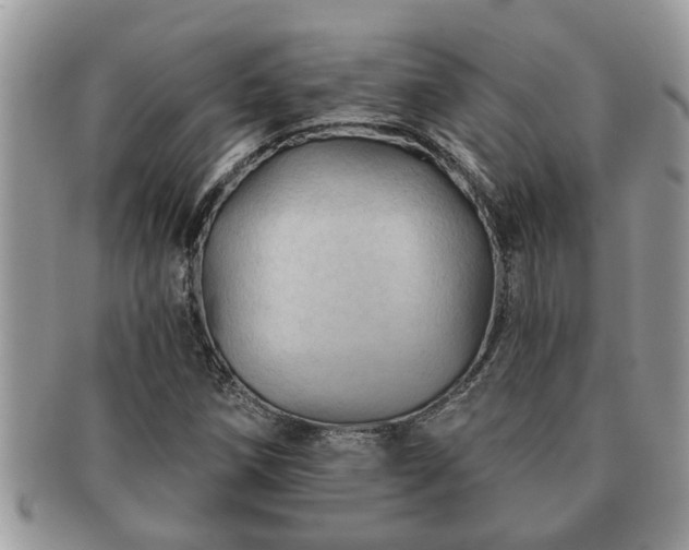 X0000091171258200708161452