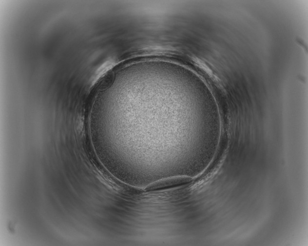 X0000091171259200708161452