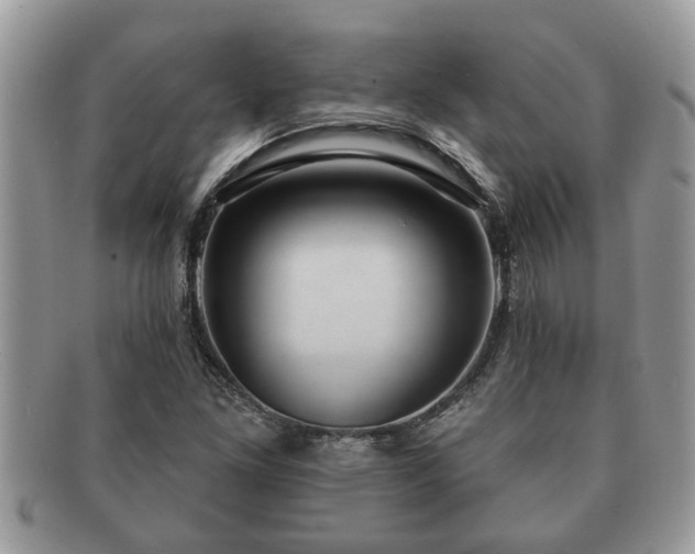 X0000091171261200708161452