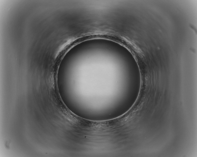 X0000091171262200708161452