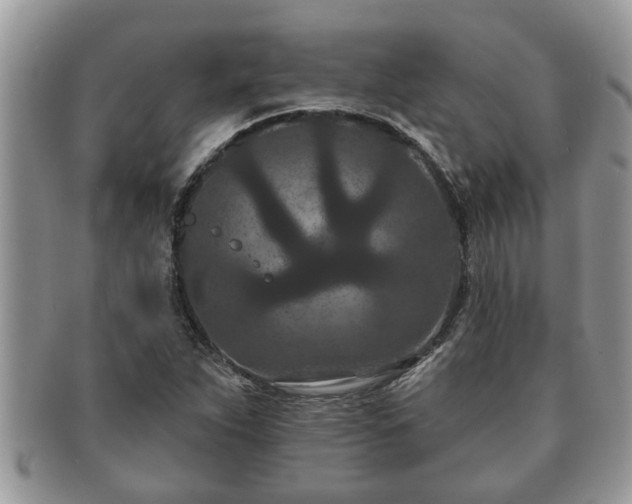 X0000091171263200708161452