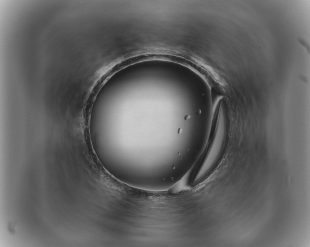 X0000091171264200708161452