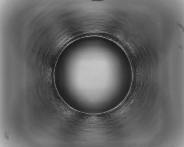 X0000091171265200708161452