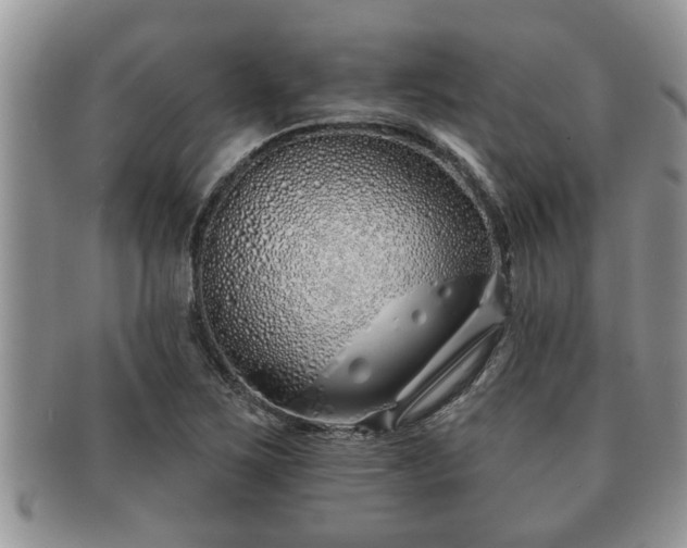 X0000091171267200708161452