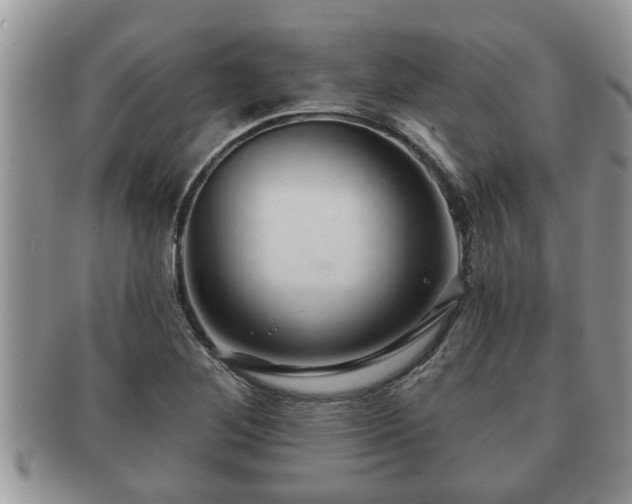 X0000091171268200708161452