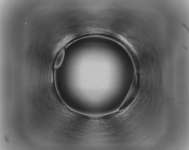 X0000091171269200708161452