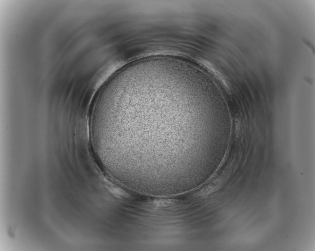 X0000091171274200708161452